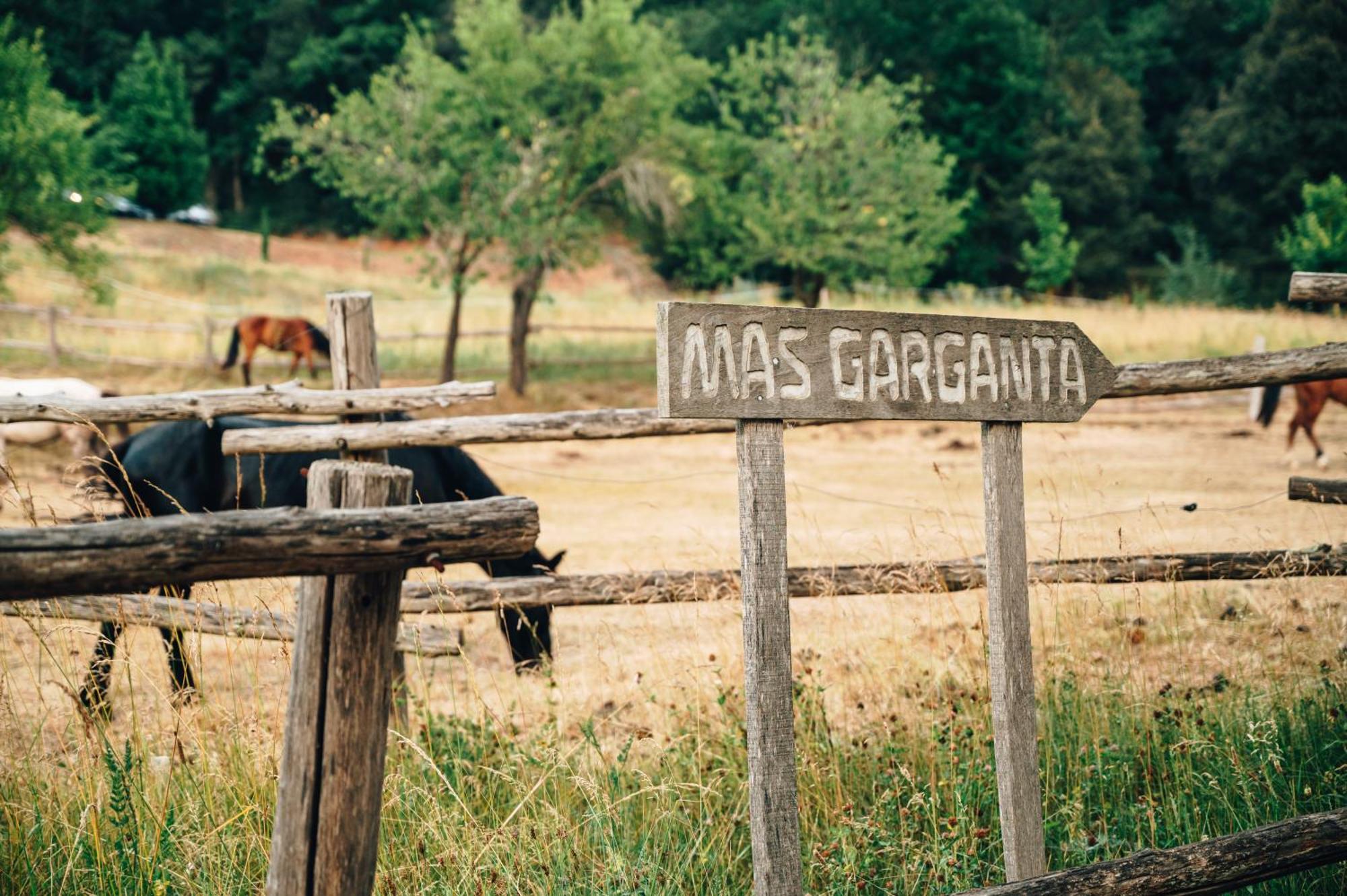 Casa Rural Mas Garganta La Pinya Extérieur photo