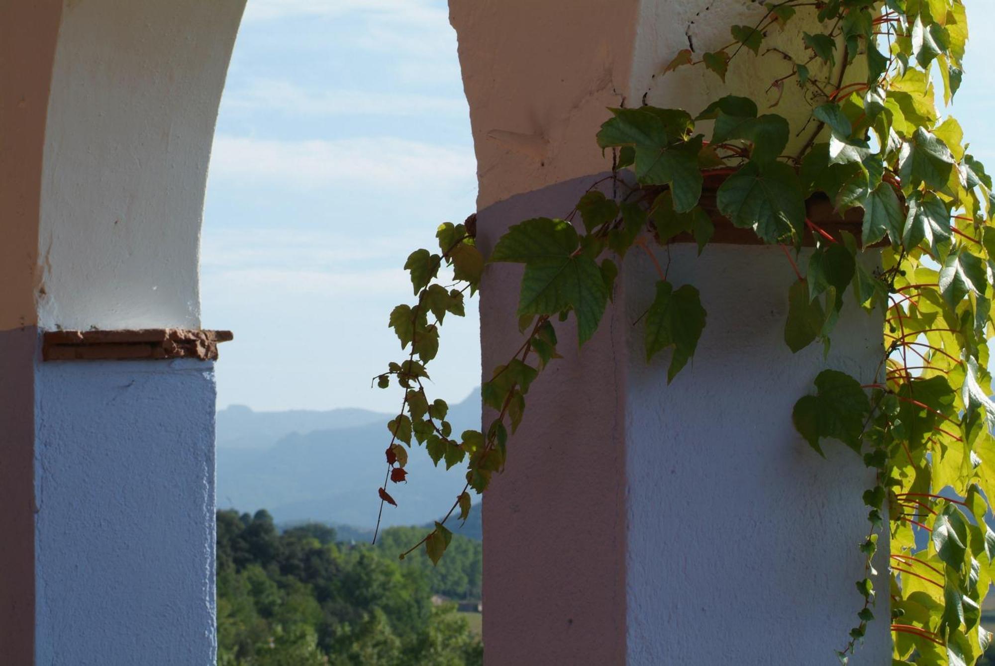Casa Rural Mas Garganta La Pinya Extérieur photo